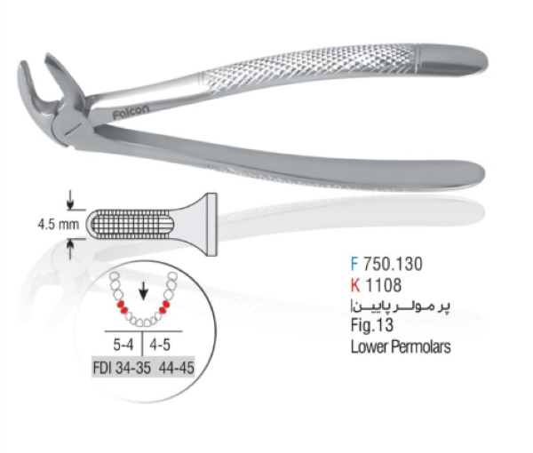 فورسپس پرمولر فالکن (Falcon Premolar Forceps)