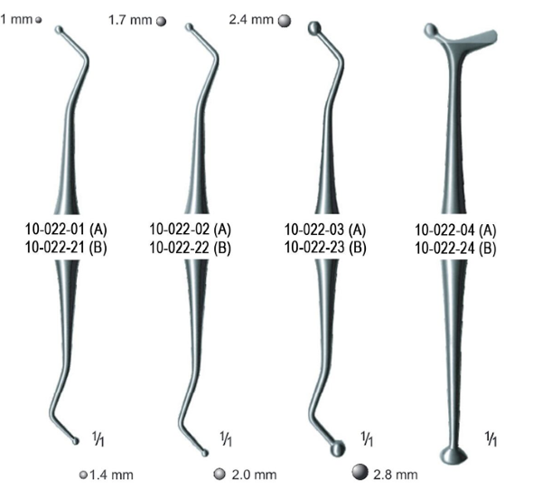 تی برنیشر جویا