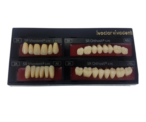دندان ایووکلار A3 (Ivoclar A3 Tooth)