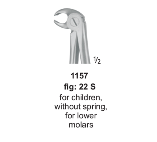  فورسپس مولر پایین راست اطفال بدون‌فنر جویا 