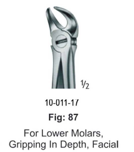 فورسپس کاهورن پایین تخت جویا (Juya Lower Molar Gripping In Depth, Facial)