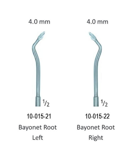  الواتور ریشه چپ و راست هایدبرینک جویا 