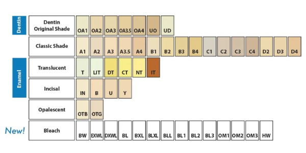  کامپوزیت پارافیل BXL پرایم دنت برای ترمیم‌های مستقیم دندان‌های خلفی (عقبی) و قدامی (جلو) طراحی شده است. 