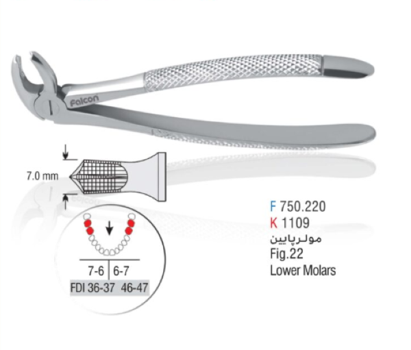 فورسپس مولر فالکن (Falcon Molar Forceps) فک پایین