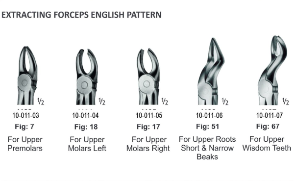 فورسپس دندان عقل جویا بالا