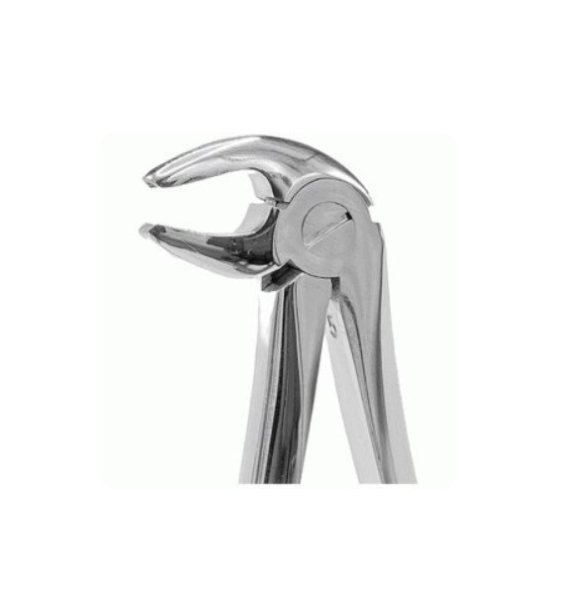  فورسپس پرمولر و سانترال پایین جویا 