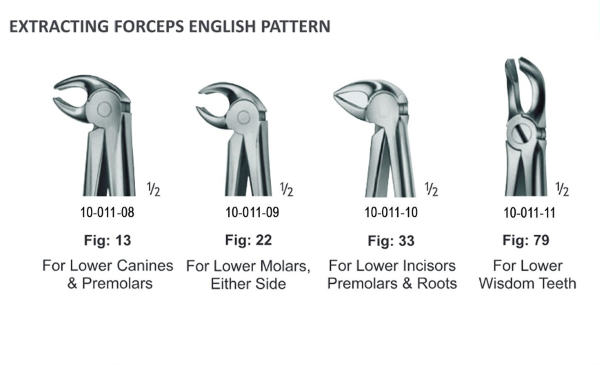  فورسپس دندان عقل جویا پایین 