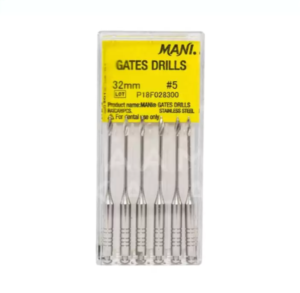 گیتس و پیزو مانی چینی