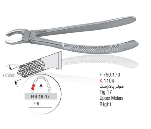  فورسپس مولر فالکن (Falcon Molar Forceps) فک بالا 