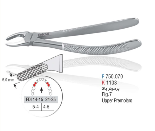  فورسپس پرمولر فالکن 